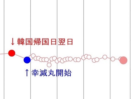 高濃縮幸減丸/PLUSMINUS漢方医院/その他を使ったクチコミ(9枚目)