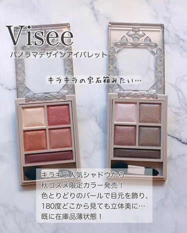 パノラマデザイン アイパレット/Visée/パウダーアイシャドウを使ったクチコミ（2枚目）