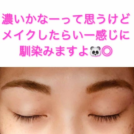 フジコ眉ティントSV/Fujiko/眉ティントを使ったクチコミ(2枚目)
