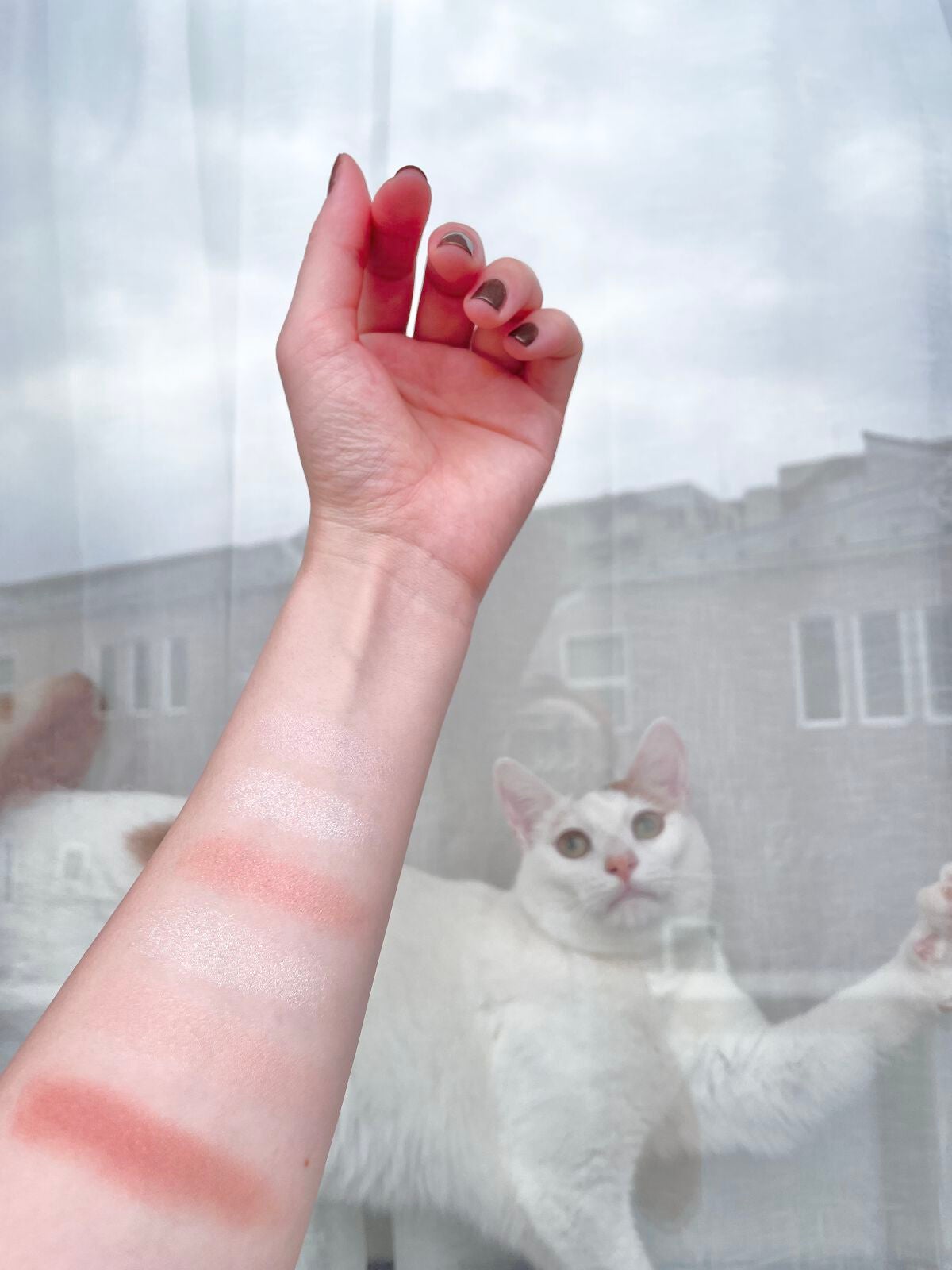 オーラクリエイション/BLEND BERRY/アイシャドウパレットを使ったクチコミ(6枚目)