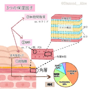 瑠璃♡フォロバ100 on LIPS 「《皮膚のあれこれまとめ》特に美白成分選ぶ時に役立つんじゃないか..」（3枚目）