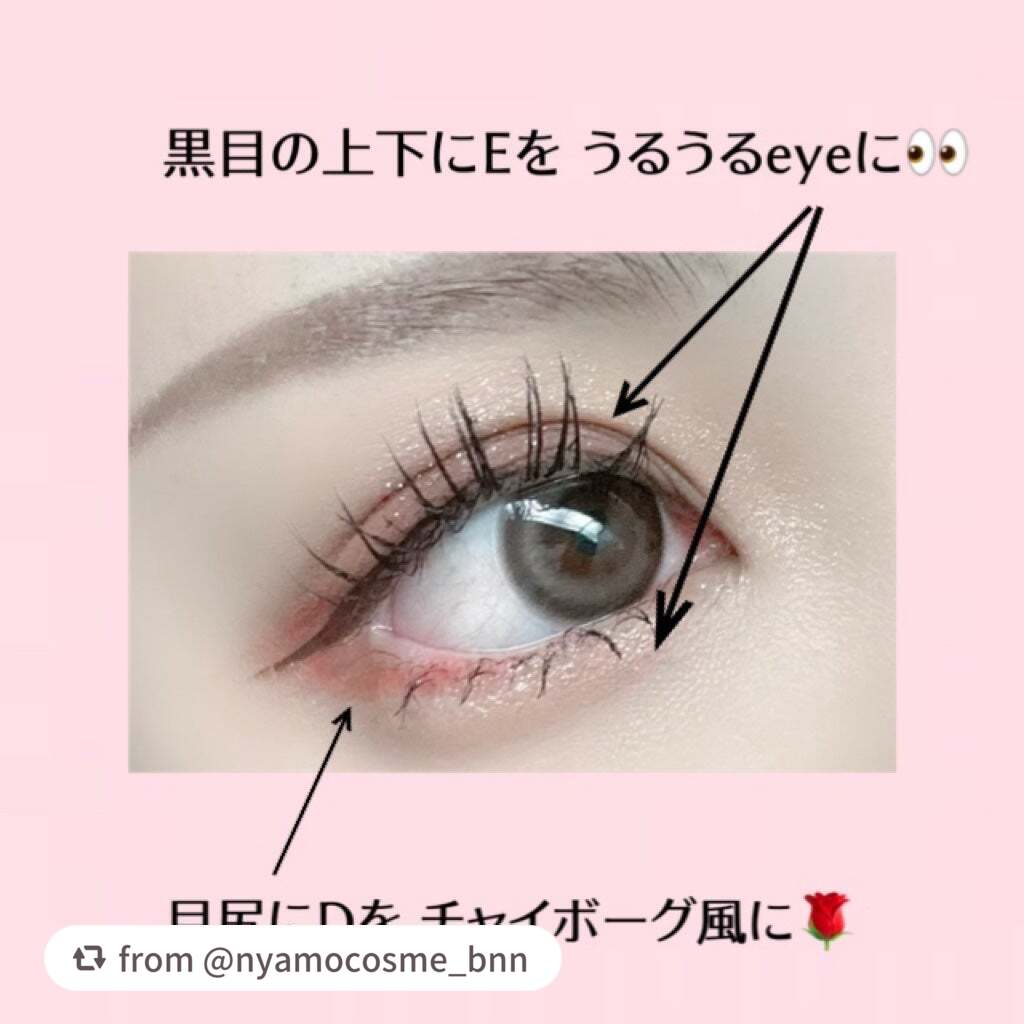 エクスプローラ12色 動物アイシャドウパレット/PERFECT DIARY/アイシャドウパレットを使ったクチコミ(5枚目)