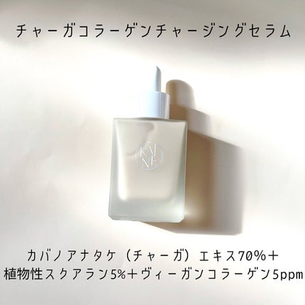ローズマリーリリーフジェルクレンザー/KAINE/その他洗顔料を使ったクチコミ(6枚目)