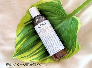 キールズ ハーバル トナー CL アルコールフリー/Kiehl's/化粧水を使ったクチコミ（2枚目）