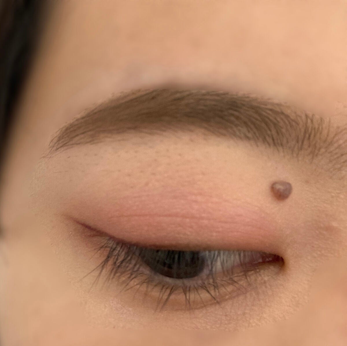 【旧】サンク クルール クチュール/Dior/アイシャドウパレットを使ったクチコミ(2枚目)