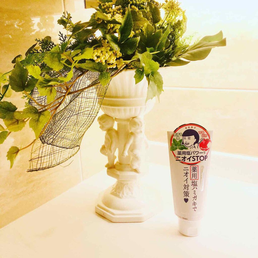 塩と重曹の薬用ハミガキ/歯磨撫子/歯磨き粉を使ったクチコミ(2枚目)