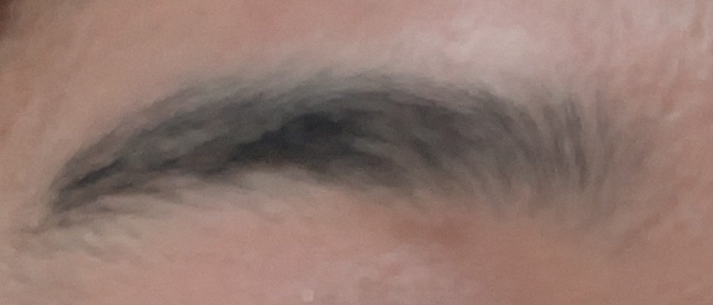 ＆．パウダーアイブロウパレット/DAISO/パウダーアイブロウを使ったクチコミ（3枚目）