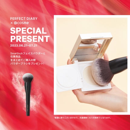 エクスプローラ12色 動物アイシャドウパレット/PERFECT DIARY/アイシャドウパレットを使ったクチコミ(4枚目)