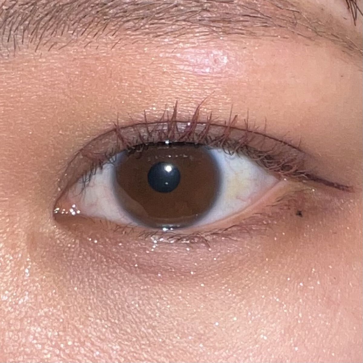 ReVIA 1day/ReVIA/ワンデー（１DAY）カラコンを使ったクチコミ（2枚目）