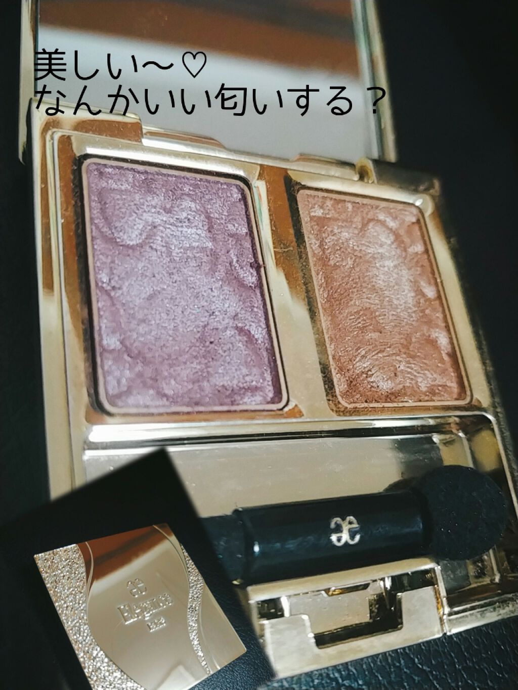 エレガンス アルモニーアイズ/Elégance/アイシャドウパレットを使ったクチコミ（1枚目）