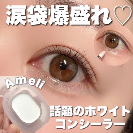 プレフィットイン&アウトコンシーラー/Ameli/クリームコンシーラーを使ったクチコミ(1枚目)