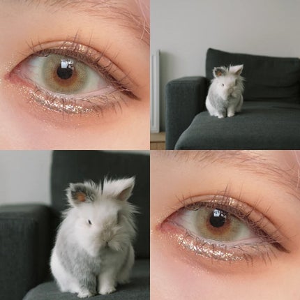 2021 F/Wルックブックパレット/espoir/アイシャドウパレットを使ったクチコミ(5枚目)