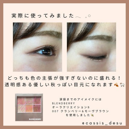 パーフェクトエクステンション マスカラ for カール/D-UP/マスカラを使ったクチコミ(4枚目)