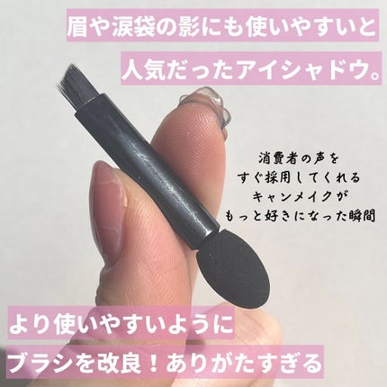 パーフェクトマルチアイズ/キャンメイク/アイシャドウパレットを使ったクチコミ(5枚目)