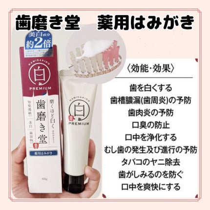 歯磨き堂 薬用ホワイトニングペースト プレミアム/歯磨き堂/歯磨き粉を使ったクチコミ(1枚目)
