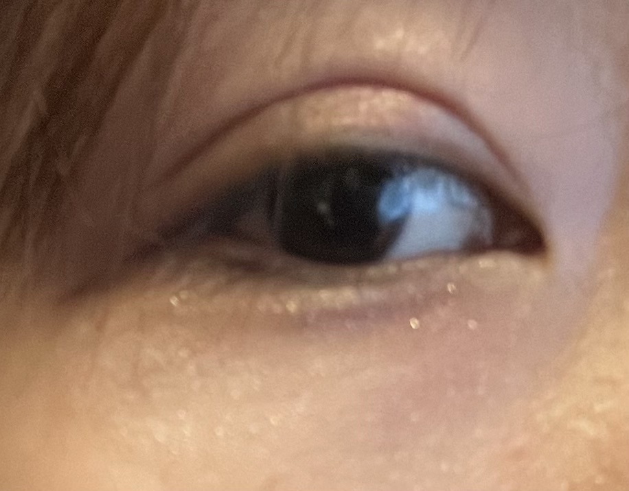 クリーミータッチライナー/キャンメイク/ジェルアイライナーを使ったクチコミ（1枚目）