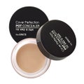 COVER PERFECTION POT CONCEALER