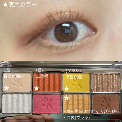 SAINKO ベルベットアイシャドウパレット/SAINKO/アイシャドウパレットを使ったクチコミ(5枚目)