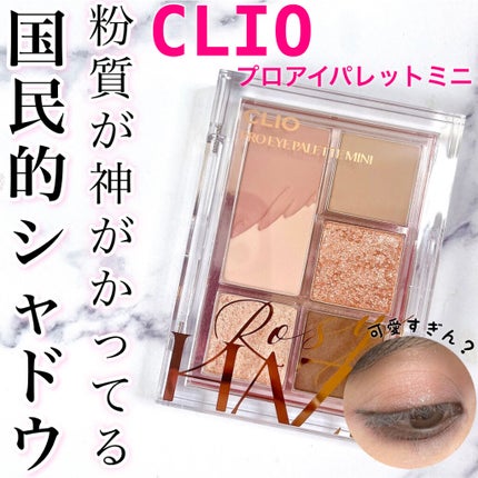 プロ アイパレット ミニ/CLIO/アイシャドウパレットを使ったクチコミ(1枚目)