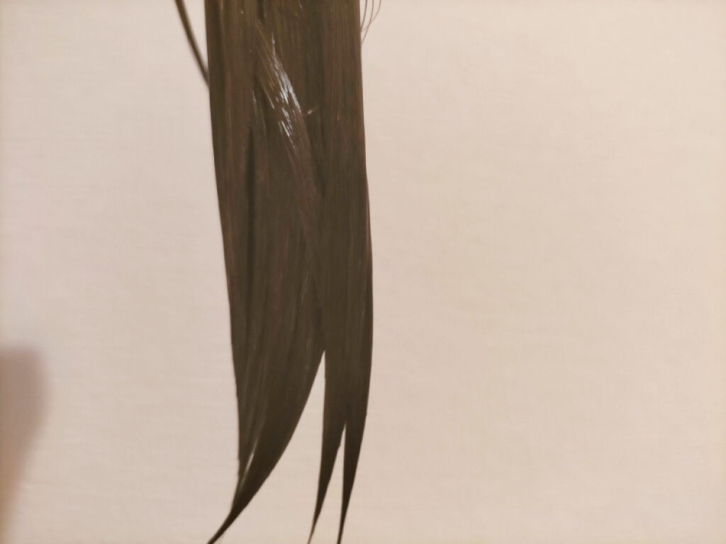 ヘアチューナー/プロカリテ/洗い流すヘアトリートメントを使ったクチコミ（1枚目）