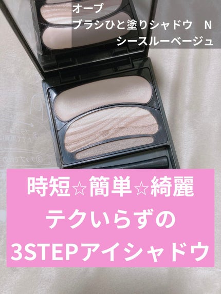 ブラシひと塗りシャドウN SC02 シースルーベージュ / オーブ ブラシひと塗りシャドウN SC02 シースルーベージュ / オーブ