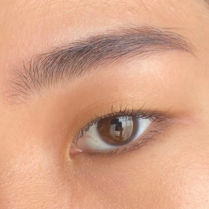 アイカラーレーション EX22 Nightfall(限定発売)/LUNASOL/アイシャドウパレットを使ったクチコミ(3枚目)