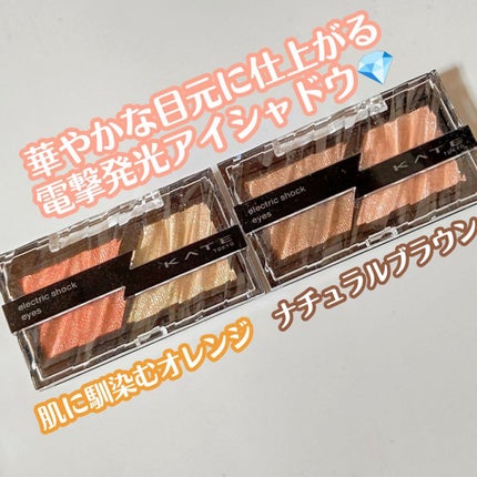 エレクトリックショックアイズ /KATE/アイシャドウパレットを使ったクチコミ(5枚目)