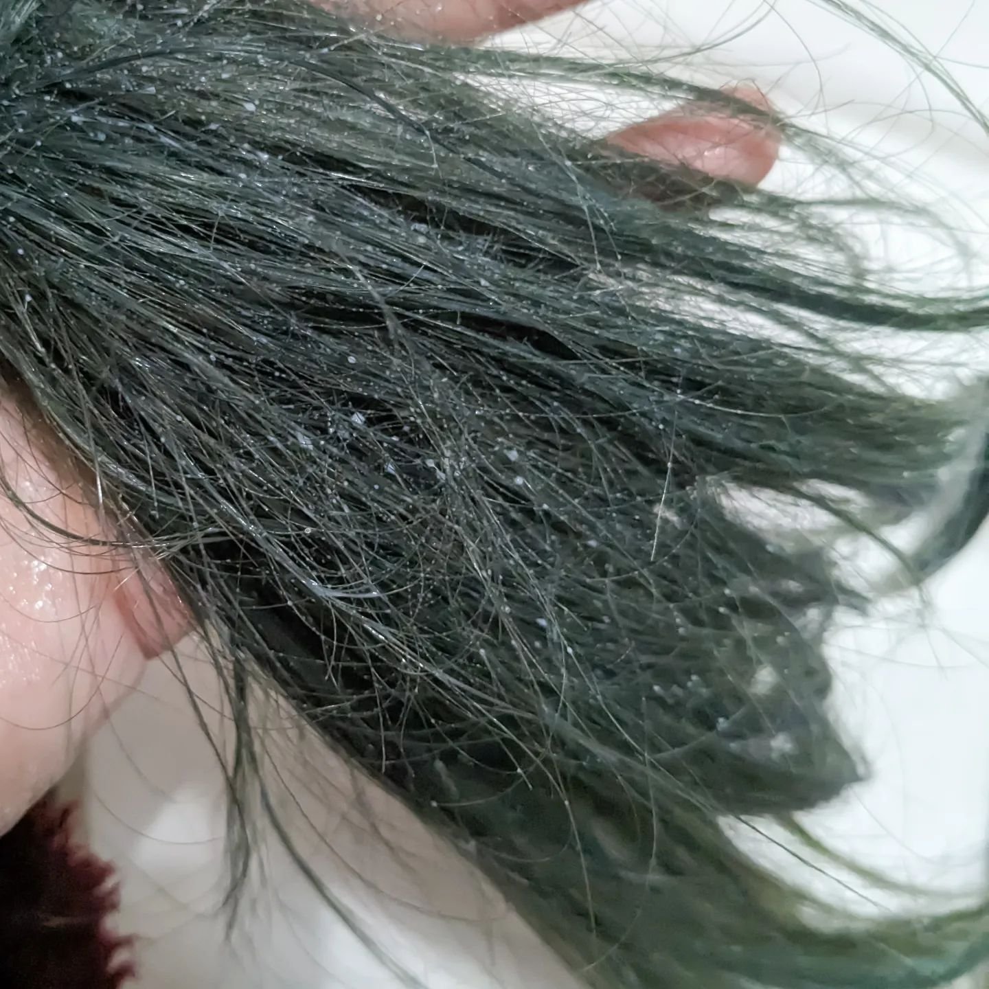 バランスリペアセラムミスト モイスト/hiritu/ヘアミストを使ったクチコミ（3枚目）