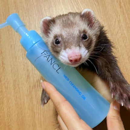 マイルドクレンジング オイル/ファンケル/オイルクレンジングを使ったクチコミ(5枚目)