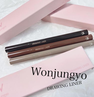 Wonjungyo ウォンジョンヨ ドローイングライナーのクチコミ「2022 MyBestCosmetics/2022マイベストコスメ

今年もコスメ投稿を通じて.....」（3枚目）