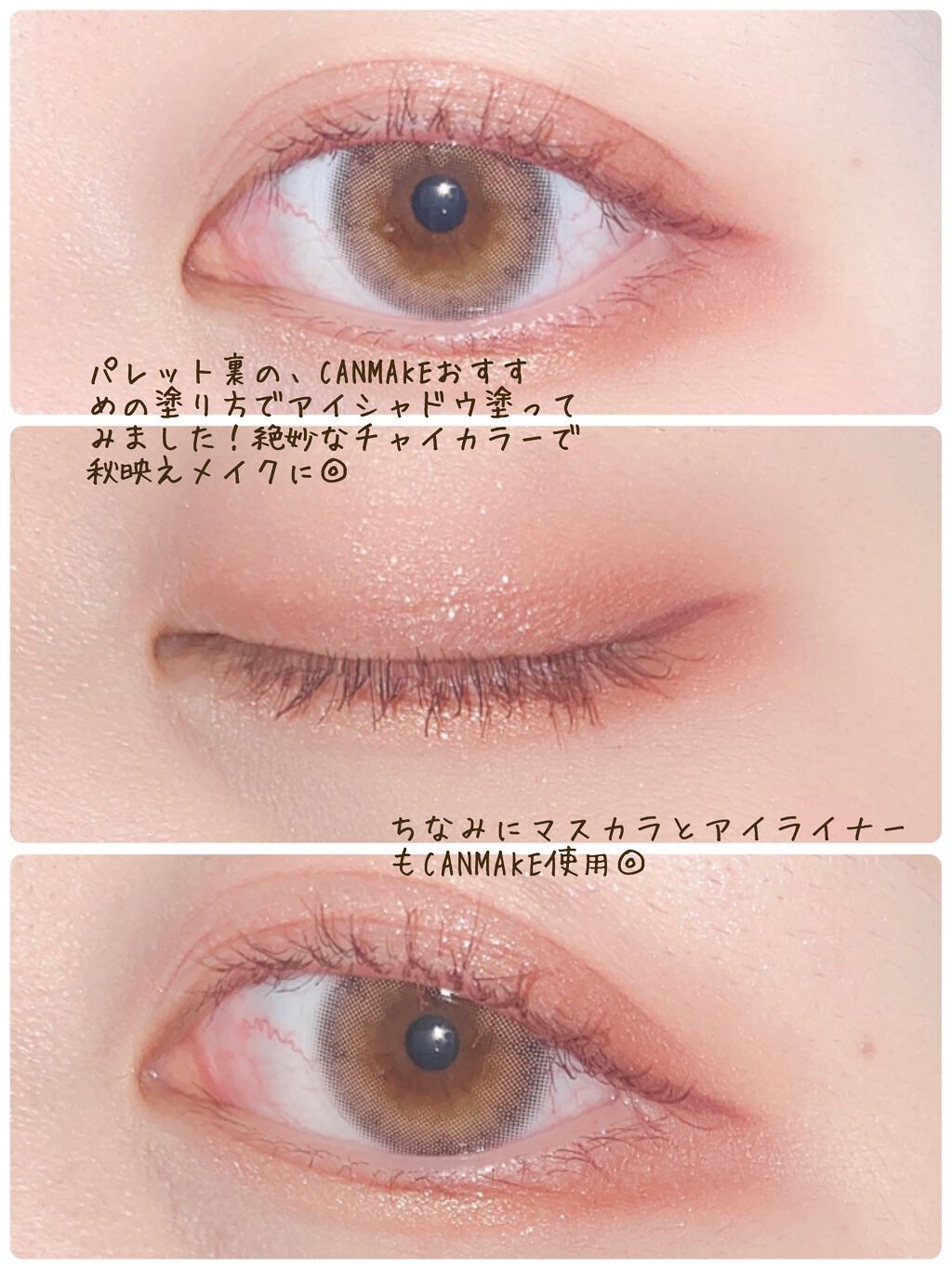 シルキースフレアイズ(マットタイプ)/キャンメイク/アイシャドウパレットを使ったクチコミ(3枚目)