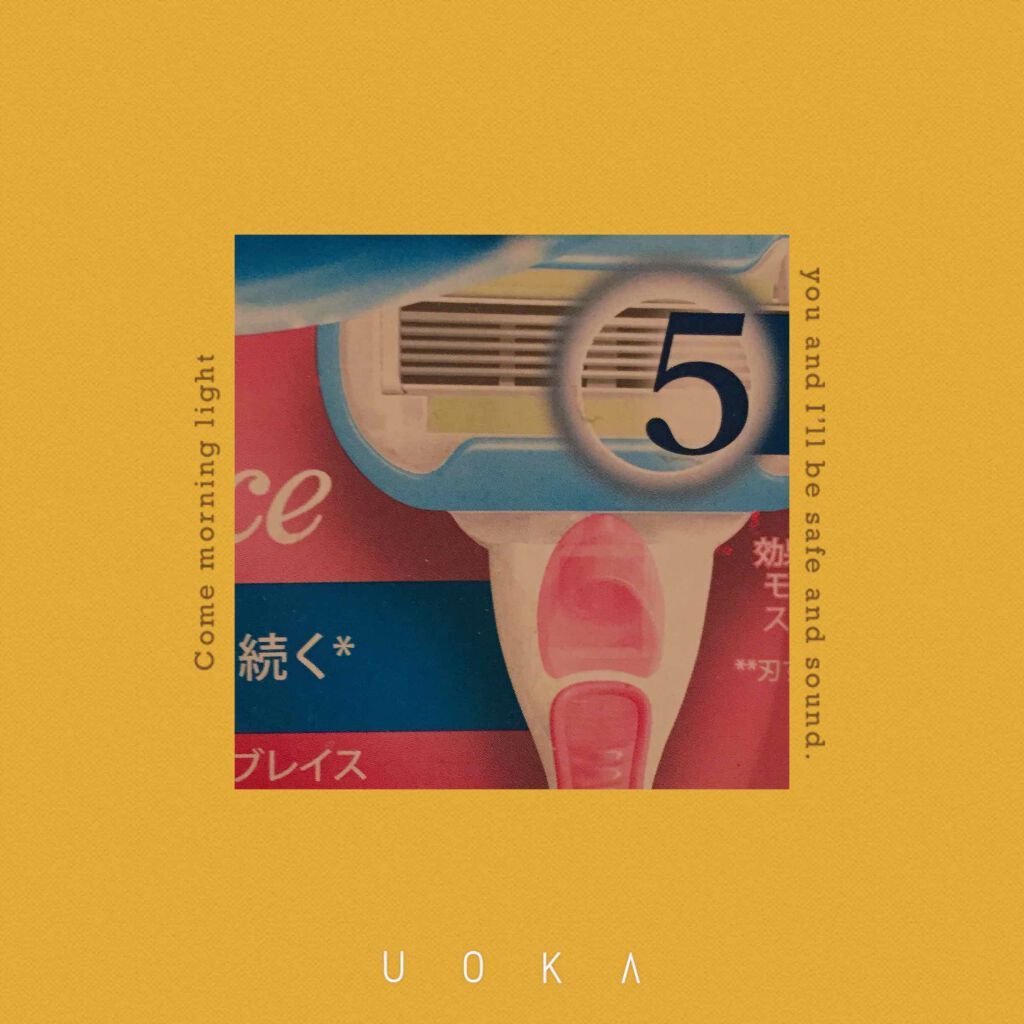 ヴィーナス エンブレイス/Gillette Venus/シェーバーを使ったクチコミ（1枚目）