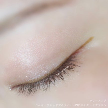シルキーリキッドアイライナーWP/D-UP/リキッドアイライナーを使ったクチコミ(7枚目)