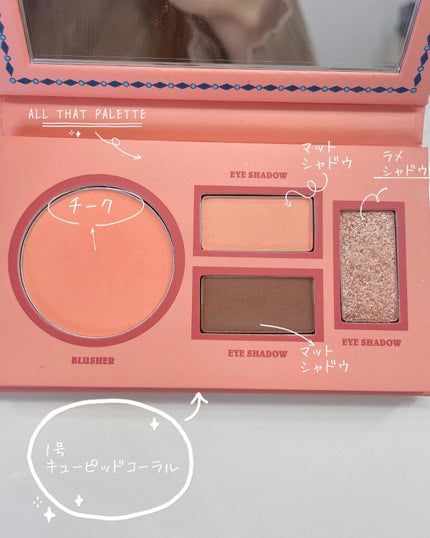 バイロダンオールザットパレット/too cool for school/アイシャドウパレットを使ったクチコミ(3枚目)