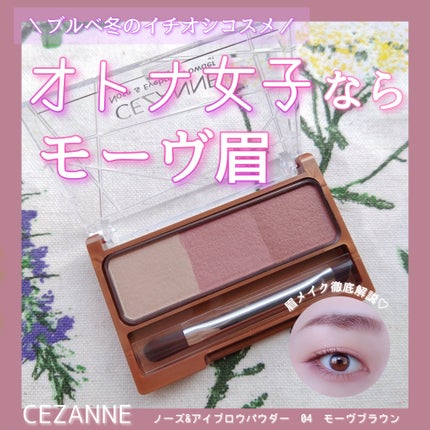 ノーズ&アイブロウパウダー/CEZANNE/パウダーアイブロウを使ったクチコミ(1枚目)