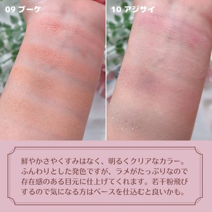 ベアシャドウパレット/フォレンコス/アイシャドウパレットを使ったクチコミ(5枚目)