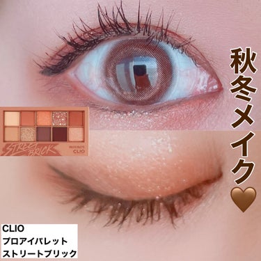 プロ アイ パレット 04 STREET BRICK/CLIO/アイシャドウパレットの画像