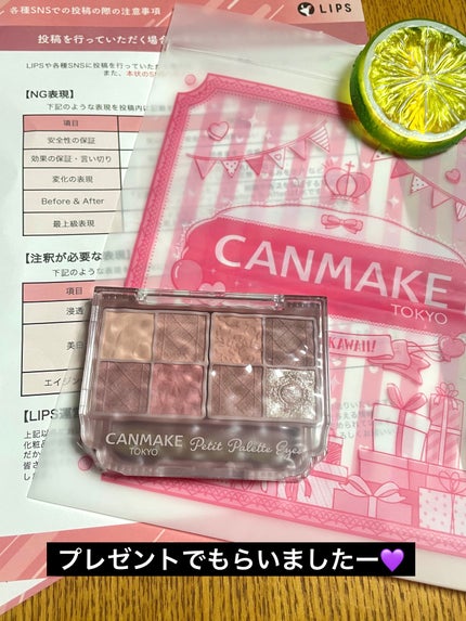 プティパレットアイズ(マットタイプ)/キャンメイク/パウダーアイシャドウを使ったクチコミ(1枚目)