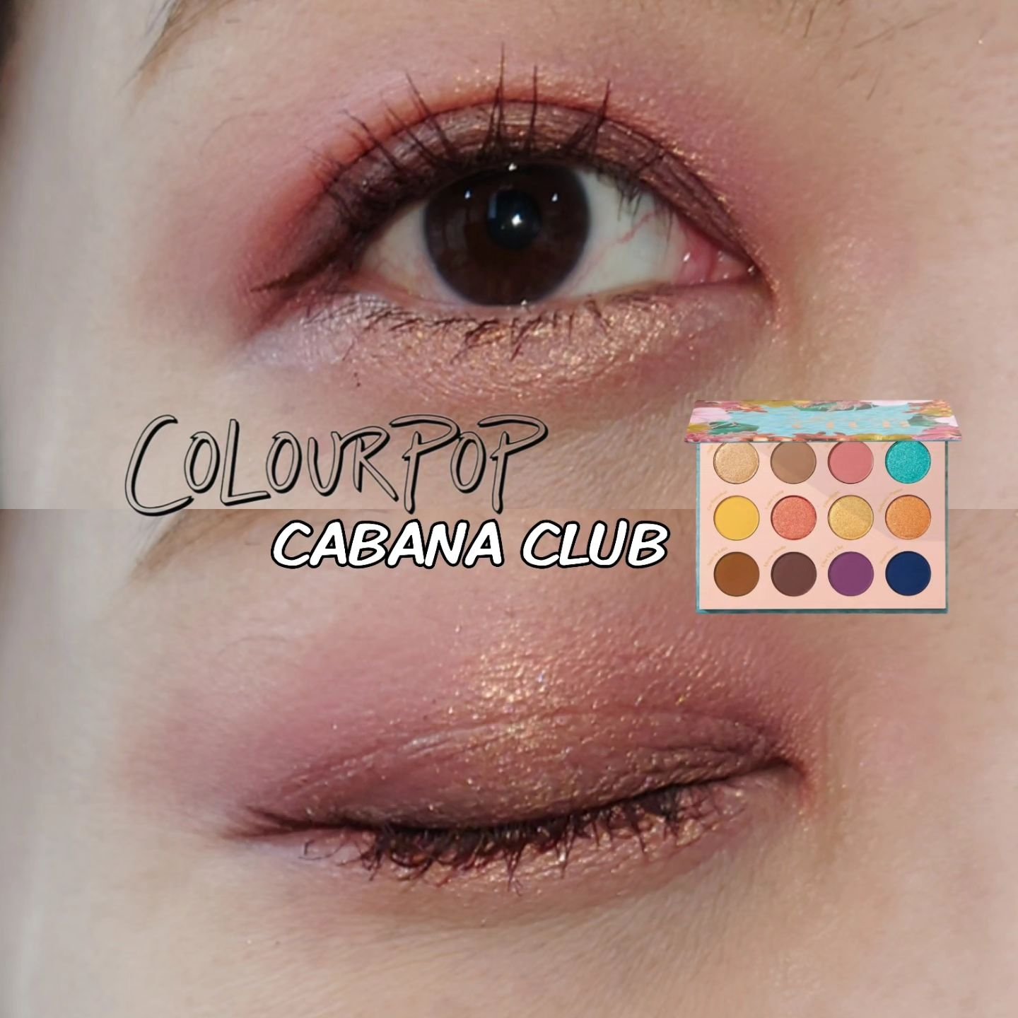  カバナクラブ/ColourPop/アイシャドウパレットを使ったクチコミ（1枚目）