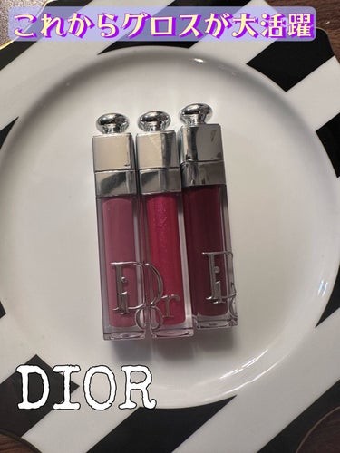 ディオール アディクト リップ マキシマイザー 040インテンス ブルーベリー/Dior/リップグロスを使ったクチコミ（1枚目）