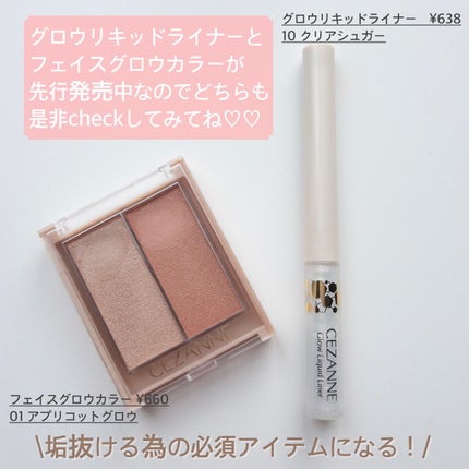 グロウリキッドライナー/CEZANNE/リキッドアイライナーを使ったクチコミ(9枚目)