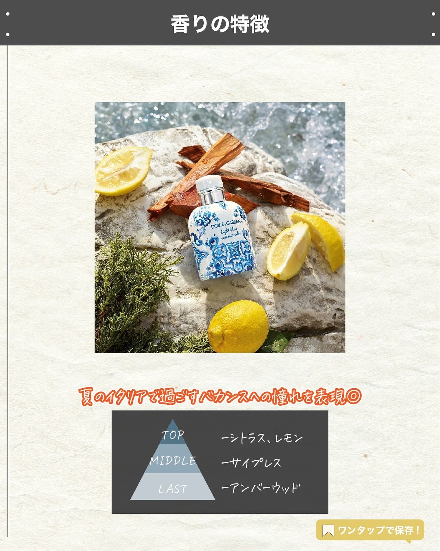 エスログ┊1日1分のモテ香水紹介 on LIPS 「.『男性専用新作香水』🌳製品情報🌳DOLCE&GABBANAラ..」(3枚目)