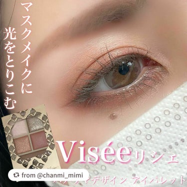 パノラマデザイン アイパレット/Visée/アイシャドウパレットを使ったクチコミ（1枚目）