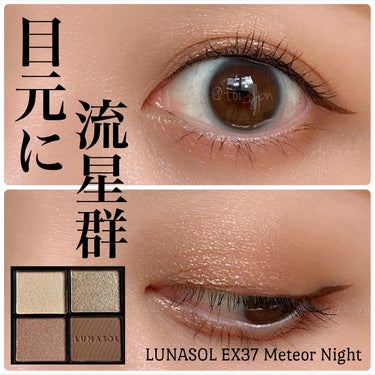 アイカラーレーション EX37 Meteor Night/LUNASOL/アイシャドウパレットを使ったクチコミ（1枚目）