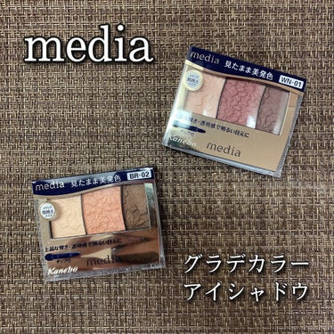 グラデカラーアイシャドウ WN-01/media/シングルアイシャドウを使ったクチコミ（1枚目）