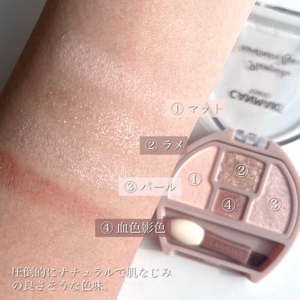 プランぷくコーデアイズ/キャンメイク/パウダーアイシャドウを使ったクチコミ(4枚目)