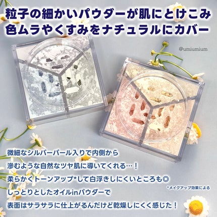 トリニタス グロウ パウダー 02 ウォームヴェール/Visée/ルースパウダーを使ったクチコミ(3枚目)