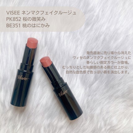 ネンマクフェイク ルージュ/Visée/口紅を使ったクチコミ(2枚目)
