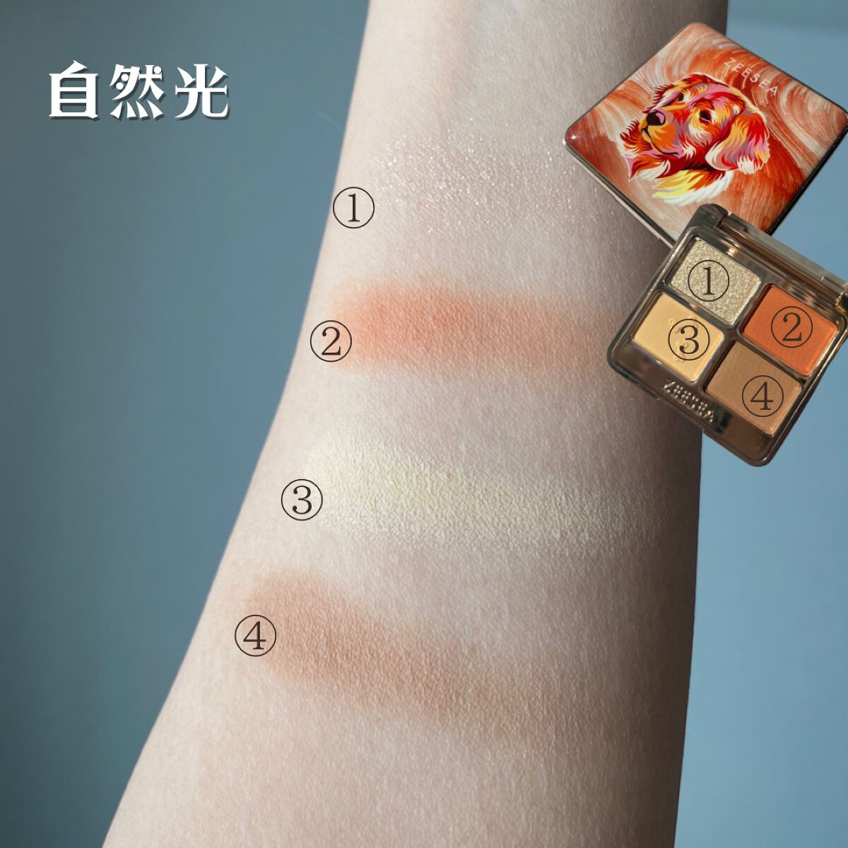 アニマルアイシャドウ(4シェード) D02 素直/ZEESEA/アイシャドウパレットを使ったクチコミ（3枚目）