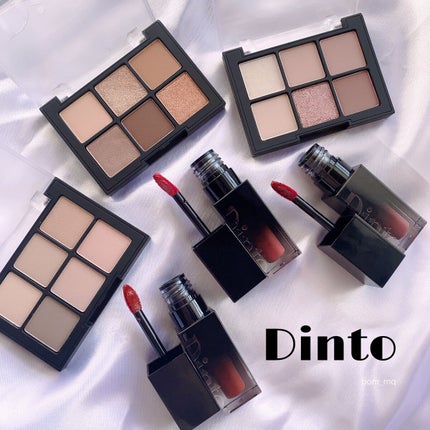 ブラーフィニシュシャドウパレット/Dinto/アイシャドウパレットを使ったクチコミ(1枚目)